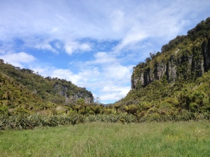 Landscape around Pororari River